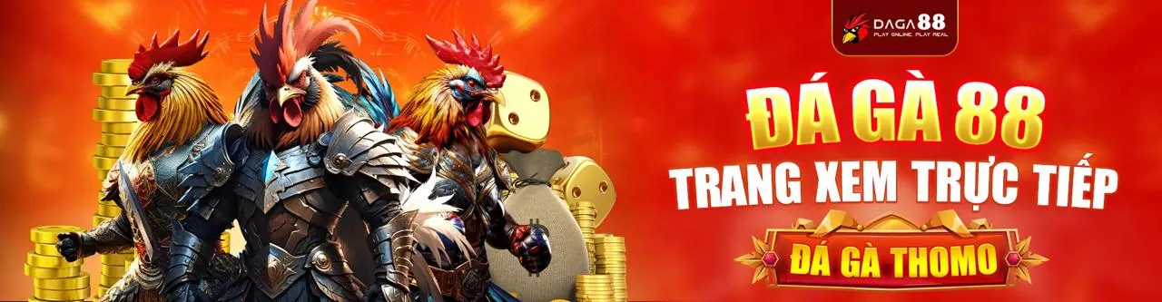 Hình ảnh minh họa các loại cookie và bảo vệ dữ liệu tại v888 casino